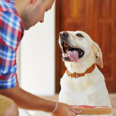 Relaxdays Intelligenzspielzeug für Hunde