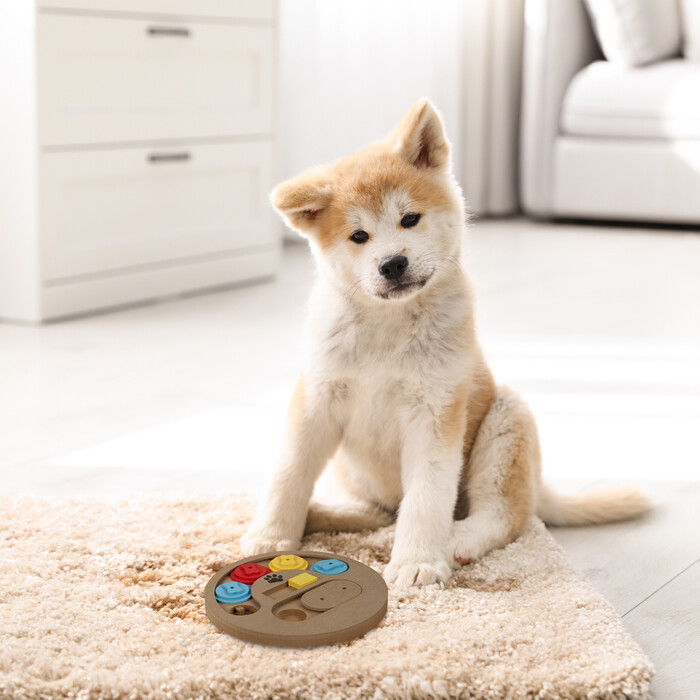 Relaxdays Intelligenzspielzeug für Hunde