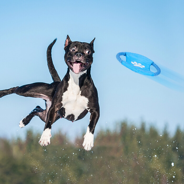 Relaxdays Hundespielzeug Set 10 teilig