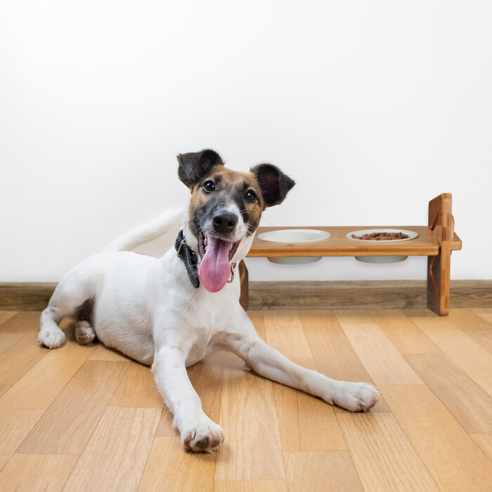 Relaxdays Futterstation für Hunde höhenverstellbar