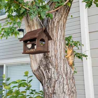Relaxdays Vogelfutterhaus aus Holz