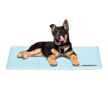 Relaxdays Hellblaue Kühlmatte für Hunde