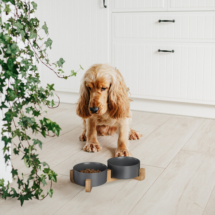 Relaxdays Hunde Napfbar Keramik mit Bambusgestell