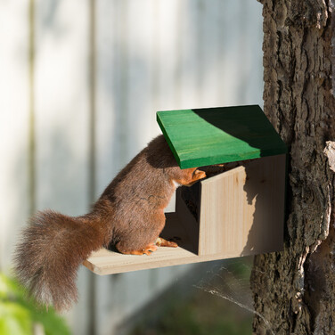 Relaxdays Eichhörnchen Futterhaus aus Holz