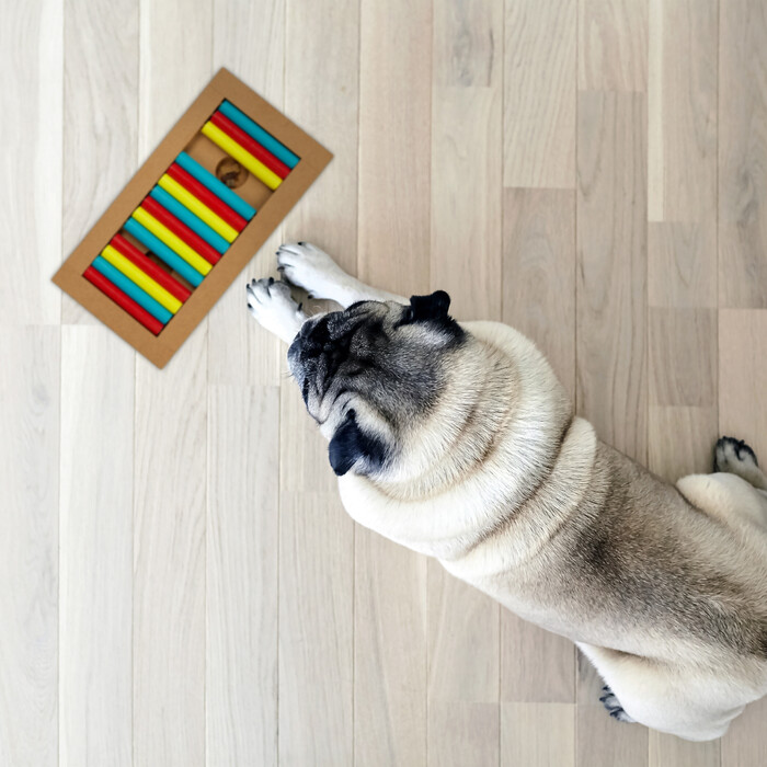 Relaxdays Intelligenzspielzeug für Hunde