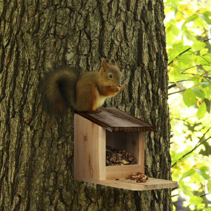Relaxdays Eichhörnchen Futterhaus aus Holz