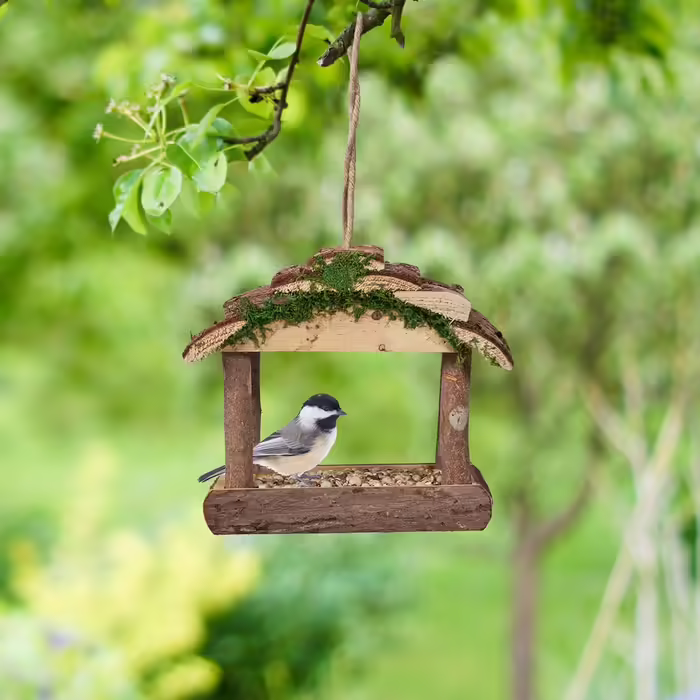 Relaxdays Vogelfutterhaus Holz, HBT: 17x15x12cm, mit Silo, Vogelfutterspender, Natur (Bundle)
