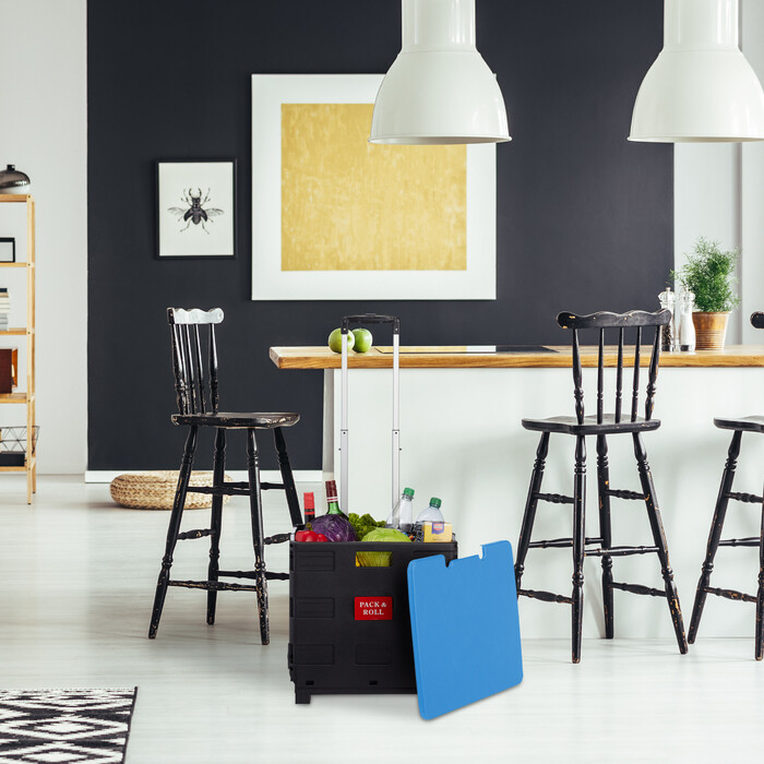 Relaxdays Klappbarer Einkaufstrolley mit Deckel