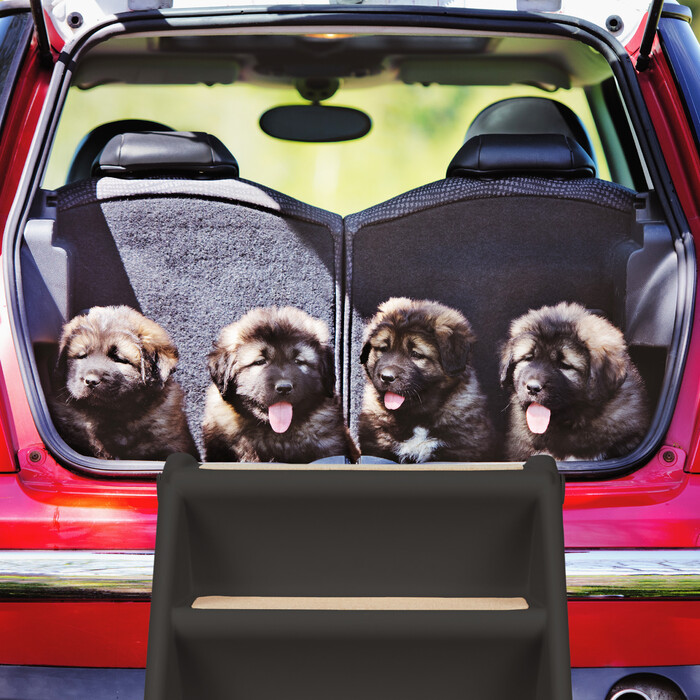 Relaxdays Hundetreppe 4 Stufen