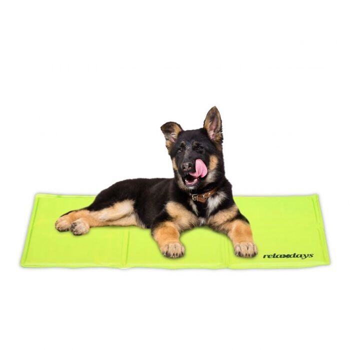 Relaxdays Grüne Kühlmatte für Hunde