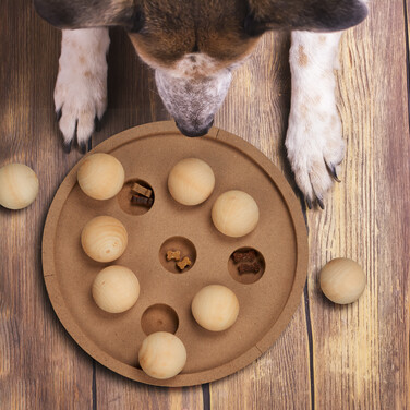 Relaxdays Intelligenzspielzeug für Hunde & Katzen