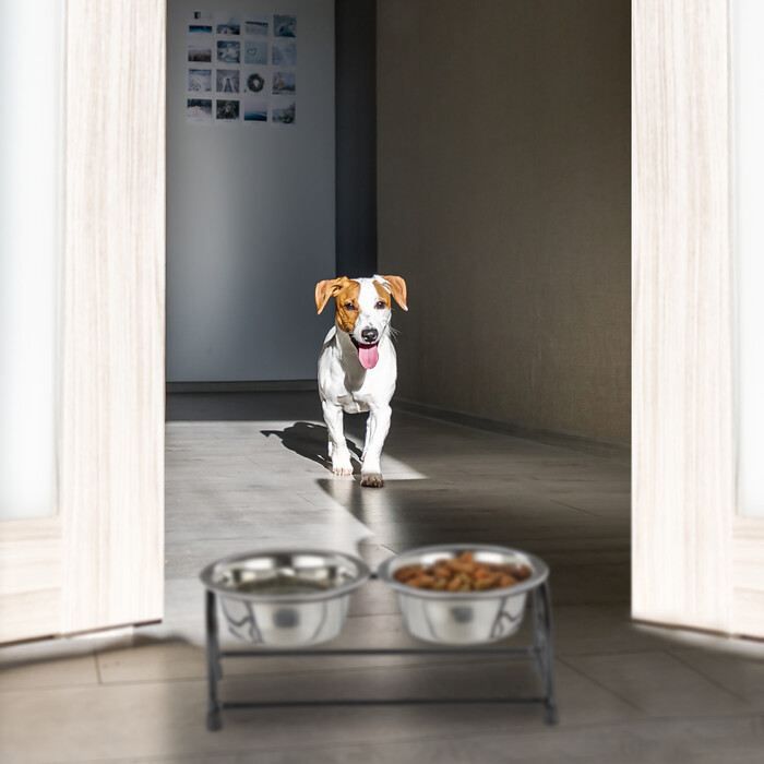 Relaxdays Hunde Napfset mit Halterung