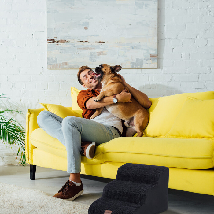 Relaxdays Hundetreppe mit 3 Stufen